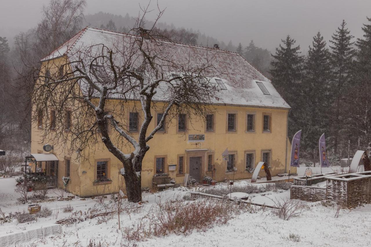Apartamento Holzwerk Oybin Exterior foto